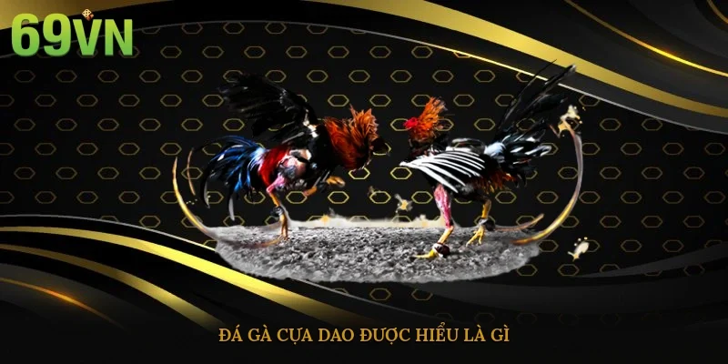 Đá gà cựa dao được hiểu là gì?