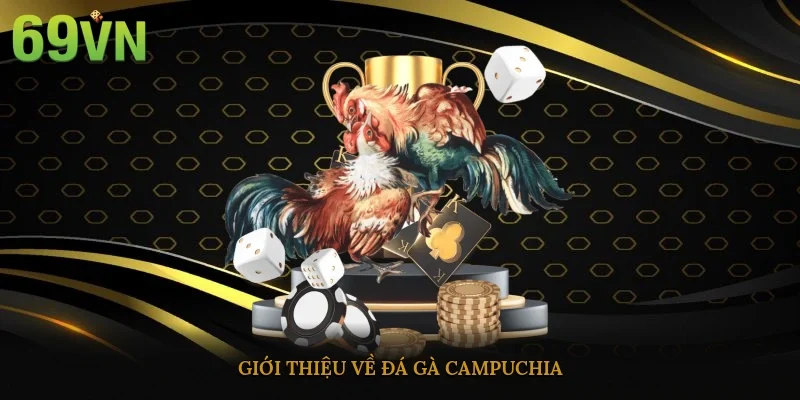 Giới thiệu về đá gà Campuchia