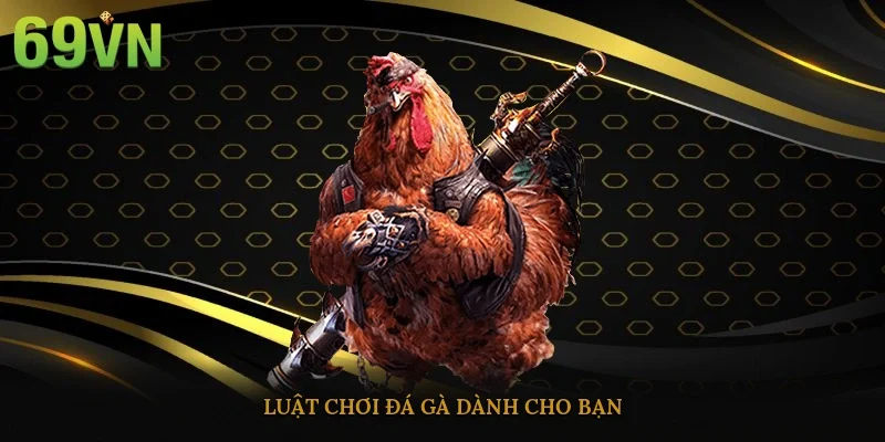 Luật chơi đá gà dành cho bạn