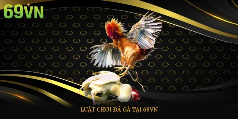 Luật chơi đá gà tại 69vn