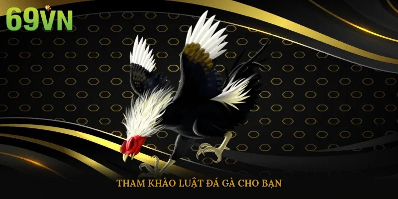 Tham khảo luật đá gà cho bạn
