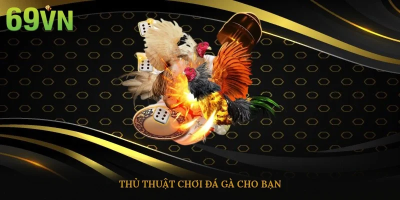 Thủ thuật chơi đá gà cho bạn